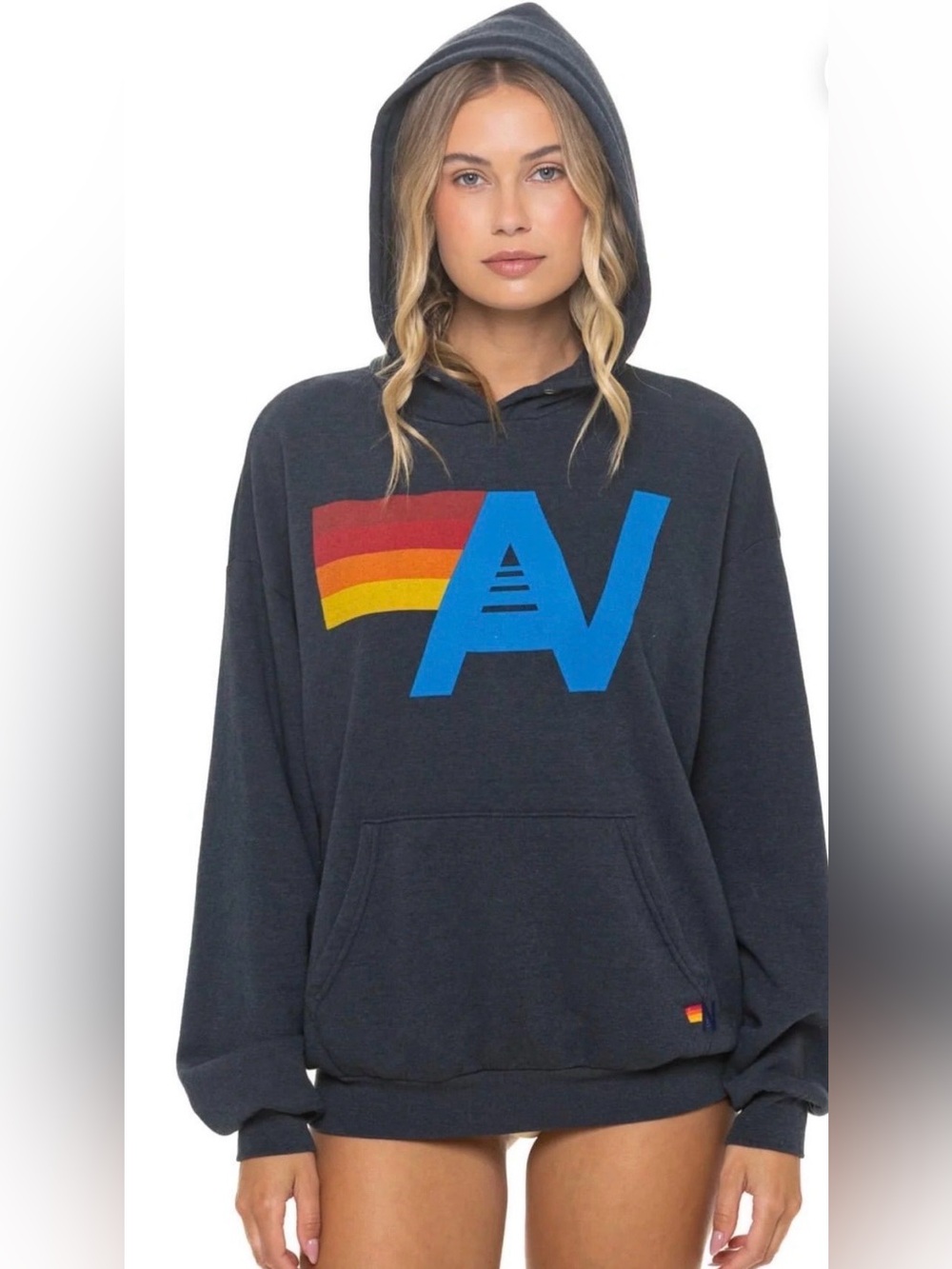 Aviator Nation and Rainbow Stripe Graphic Charcoal hoodie L
